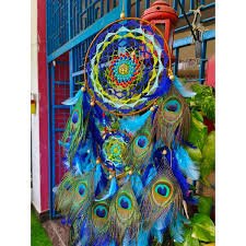 Peacock Feather Wind Chime – Divine Grace